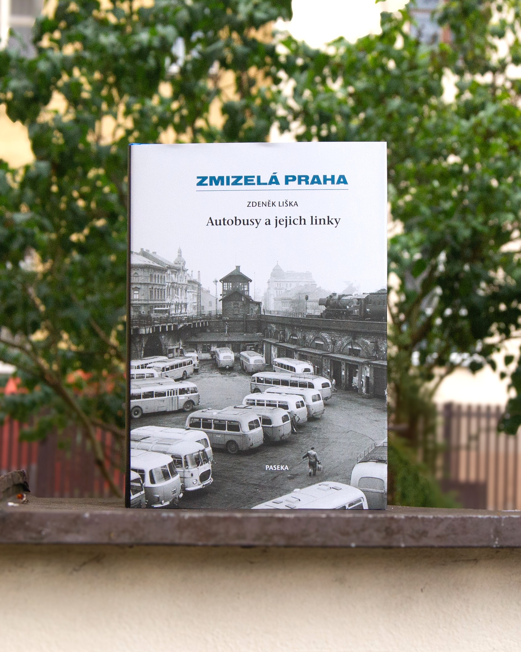 Autobusy a jejich linky 30879